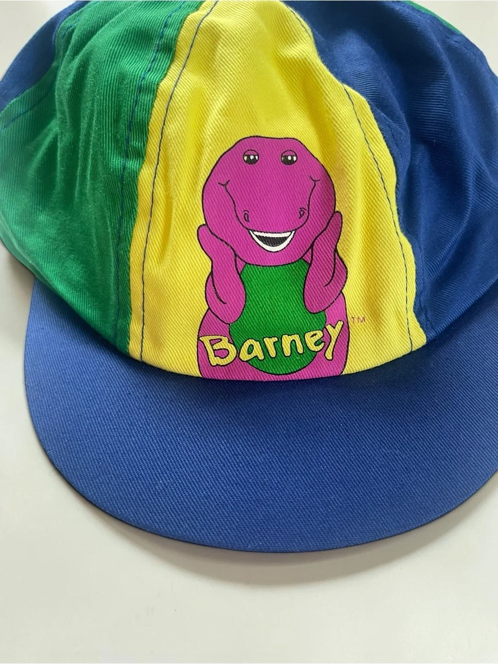 VINTAGE 90s NWOT Authentic Barney Colorblock Cap